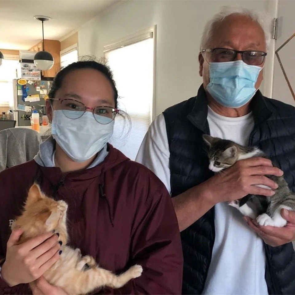 Gatito rescatado maullaba sin parar hasta que encontró al compañero perfecto para abrazar 9 Amigos adoptados