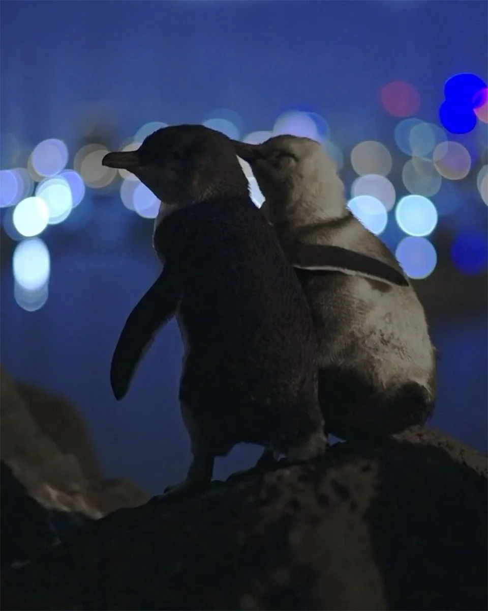 Amigos consolándose