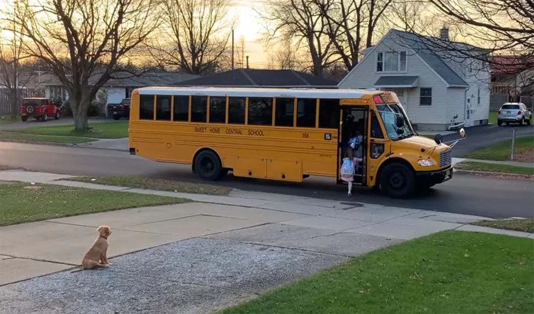 Bentley despide niñas Bentley despide niñas