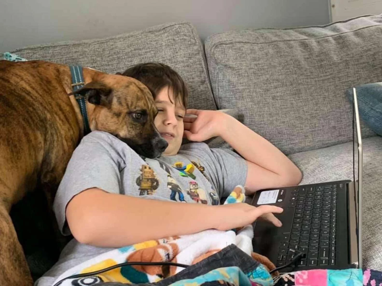 Perro intenta cualquier cosa para interrumpir las clases de su hermanito 4 Perro no deja solo a su hermanito humano