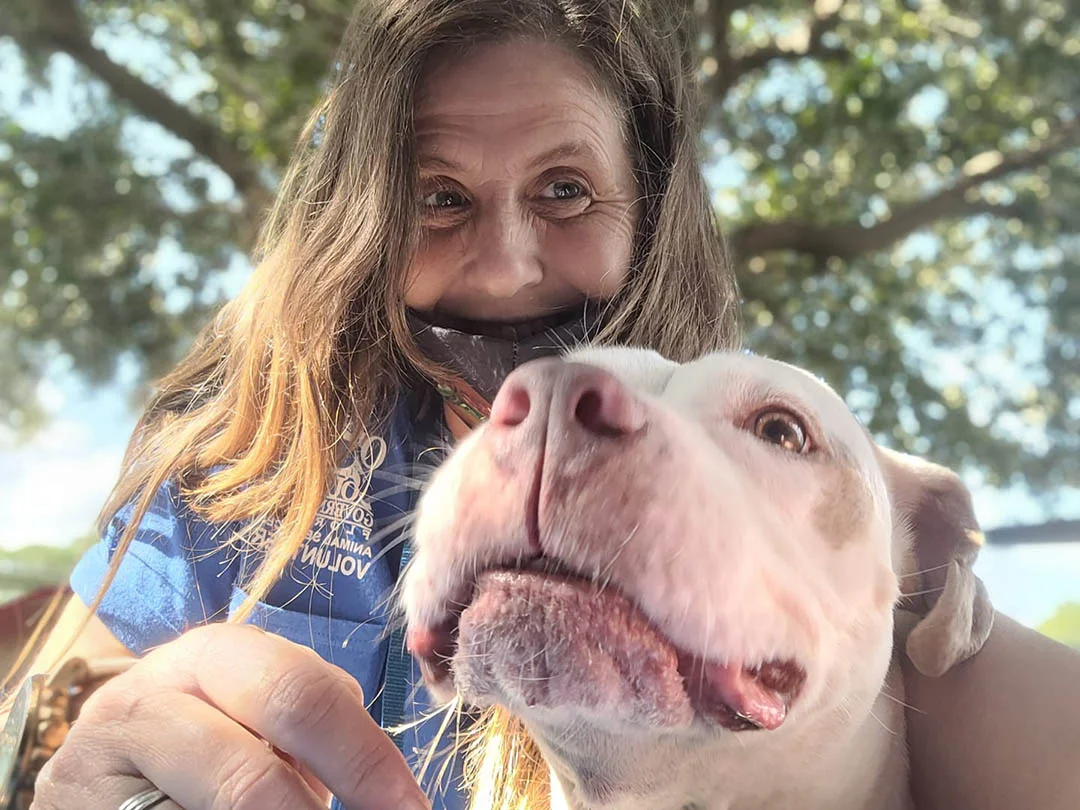 Pitbull es adoptado