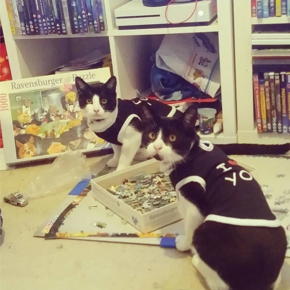 Felix y su hermano Felix y su hermano