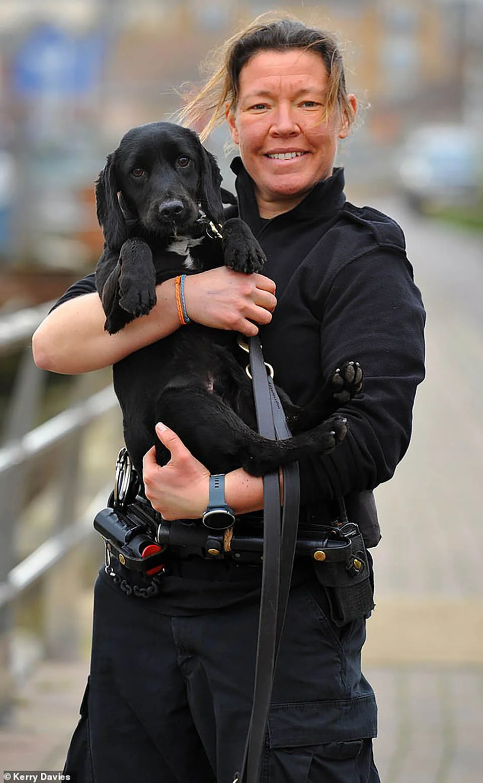 Perro rastreador de la policía