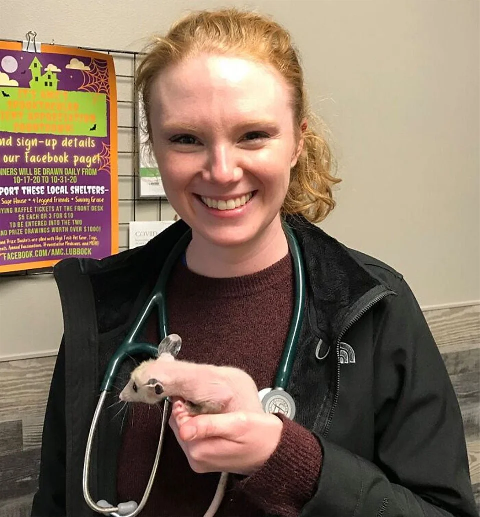 Chico aparece en un refugio llevando consigo al 'gato' más extraño 1 Zarigüeya sin pelo