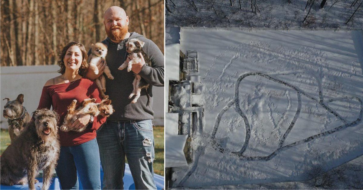 familia con 21 perros hace laberinto de nieve