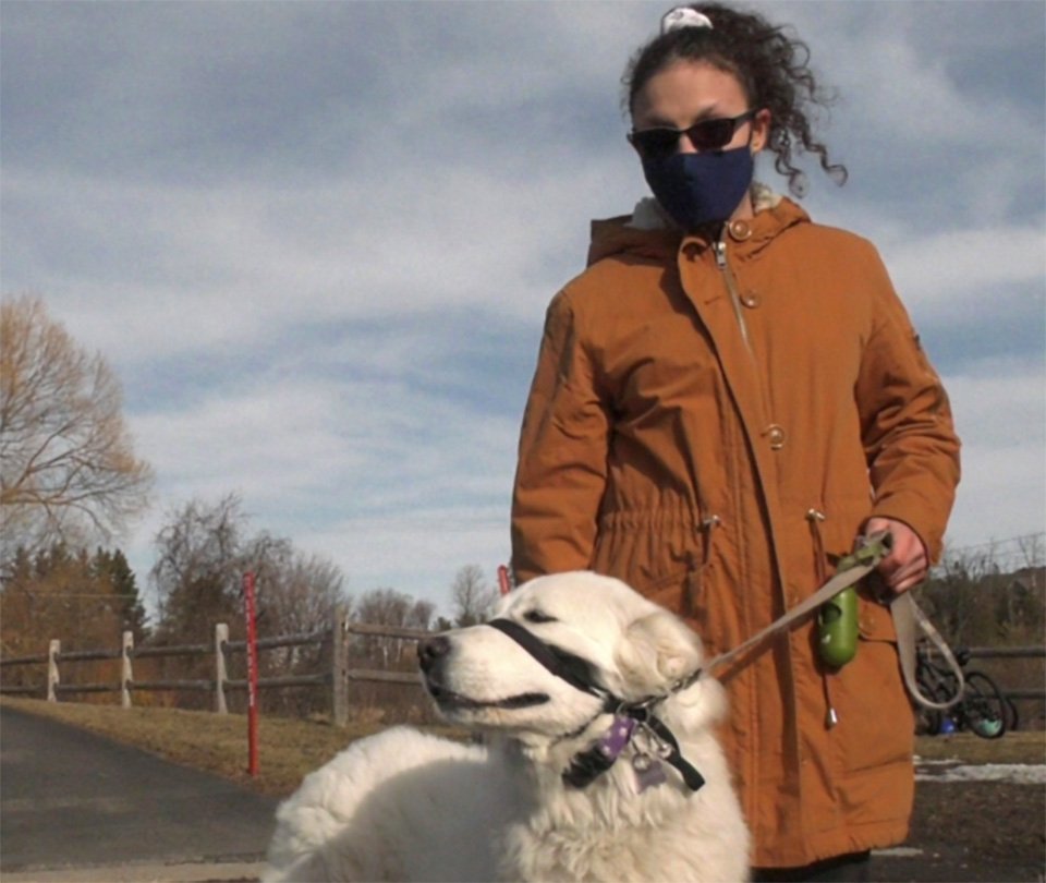 Perrita detiene un vehículo para ayudar a mamá que tuvo una convulsión en su paseo 16 Clover y Haley