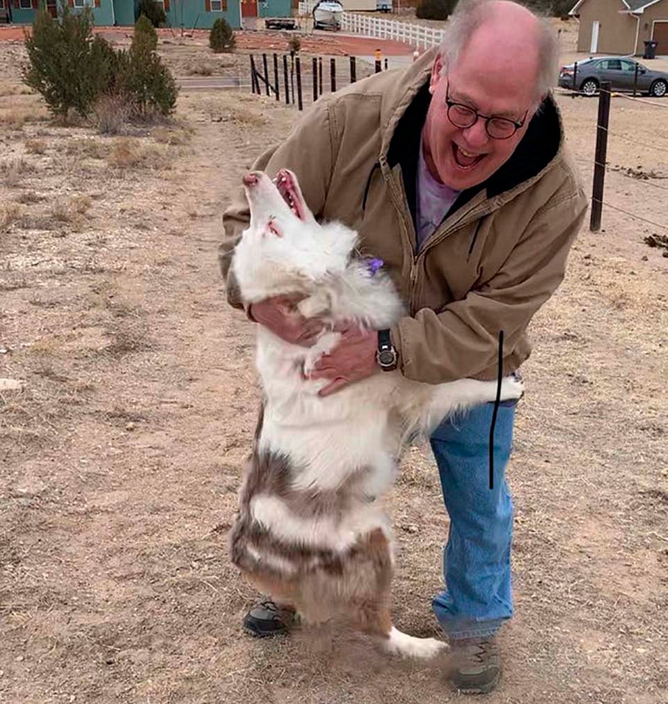 Perrita sorda y ciega reconoce inmediatamente a su abuelo después de un año 17 Emotivo encuentro