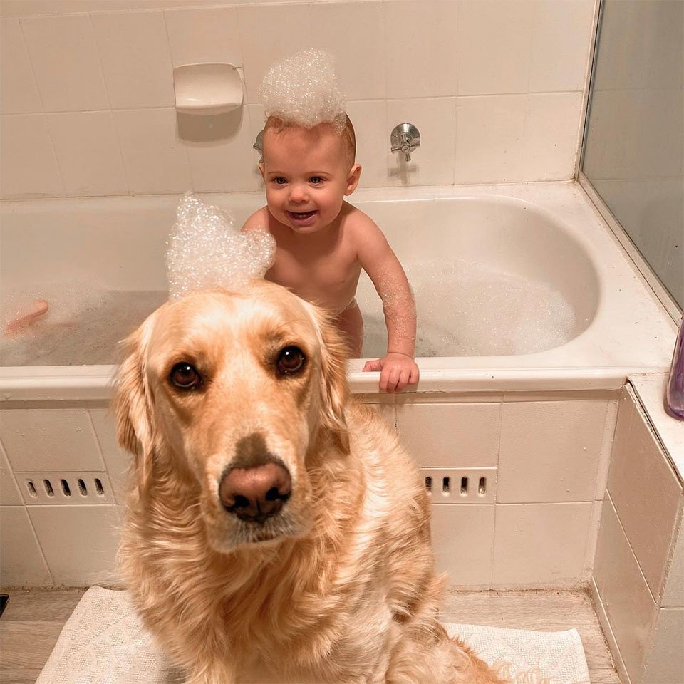Este golden retriever tiene un vínculo muy dulce con su hermanita humana 5 En la ducha