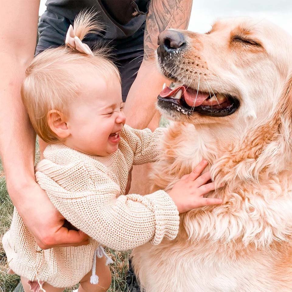 Este golden retriever tiene un vínculo muy dulce con su hermanita humana 7 Hermanos felices