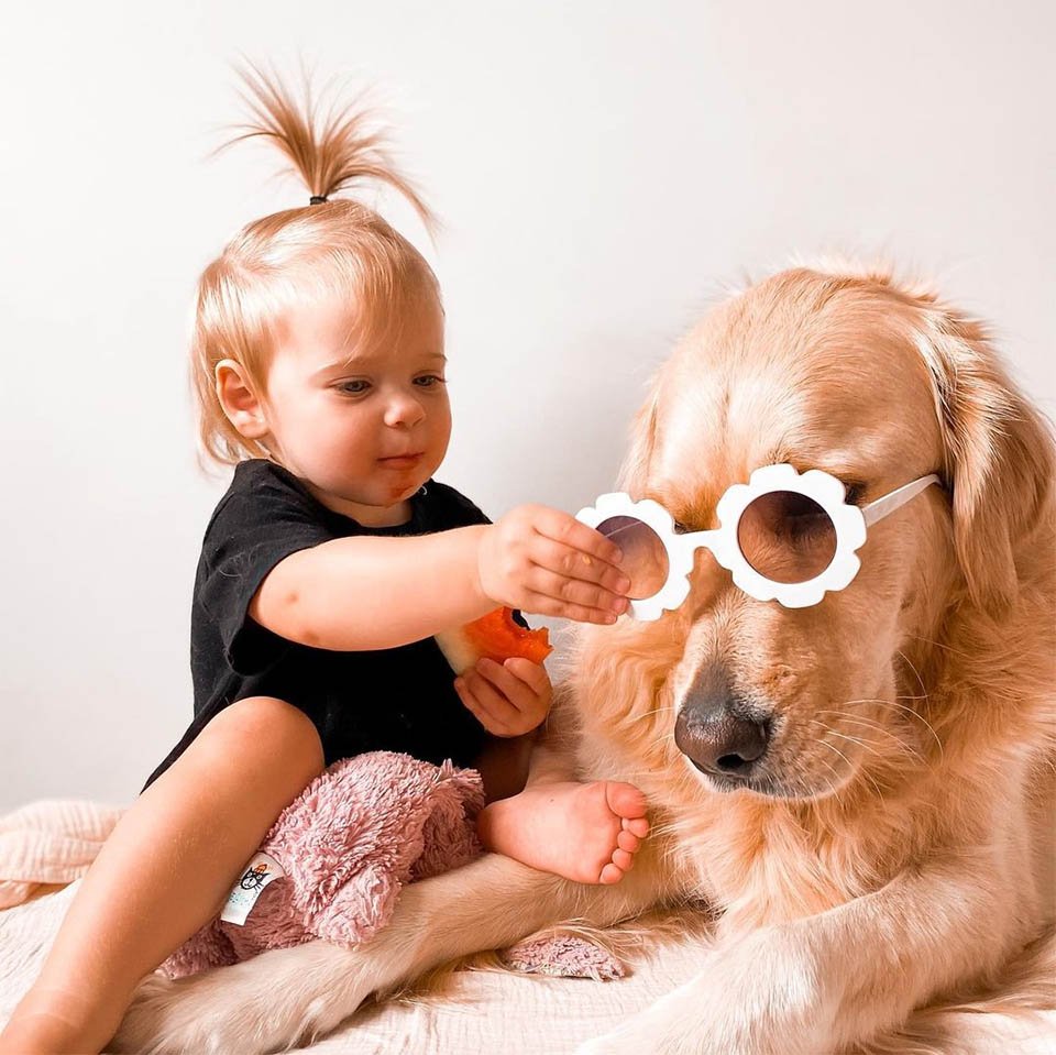 Este golden retriever tiene un vínculo muy dulce con su hermanita humana 9 Hermanos posando