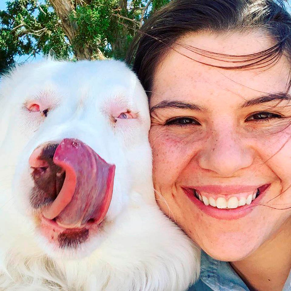 Perrita sorda y ciega reconoce inmediatamente a su abuelo después de un año 18 Kristal y Bitsy