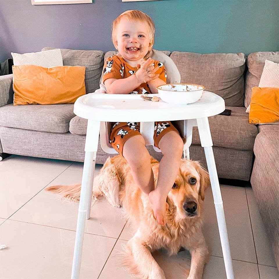 Este golden retriever tiene un vínculo muy dulce con su hermanita humana 6 Marshall niñera