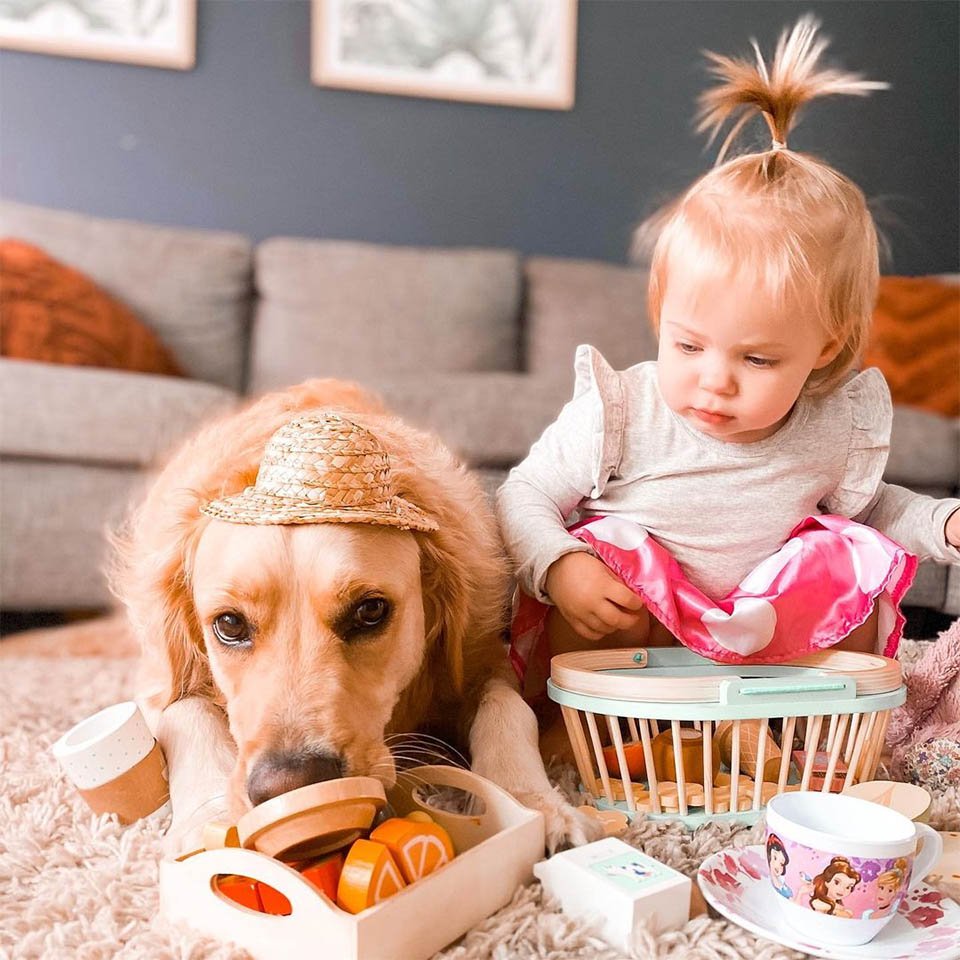 Este golden retriever tiene un vínculo muy dulce con su hermanita humana 8 Travesuras de hermanos