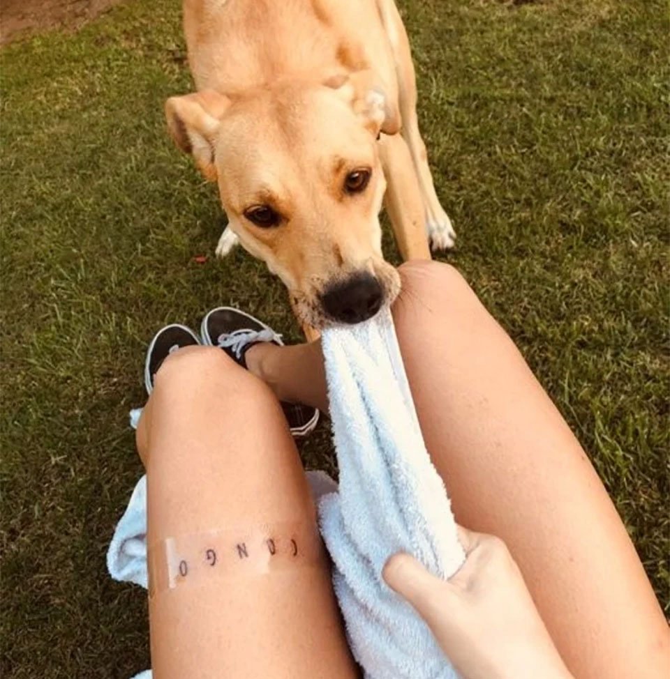 Emotivo reencuentro de una mujer con su perro que estuvo perdido por 3 meses 16 Emotivo reencuentro mujer perro