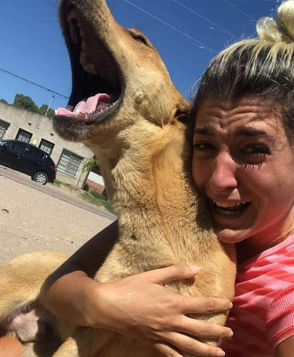 Emotivo reencuentro de una mujer con su perro que estuvo perdido por 3 meses 13 Emotivo reencuentro