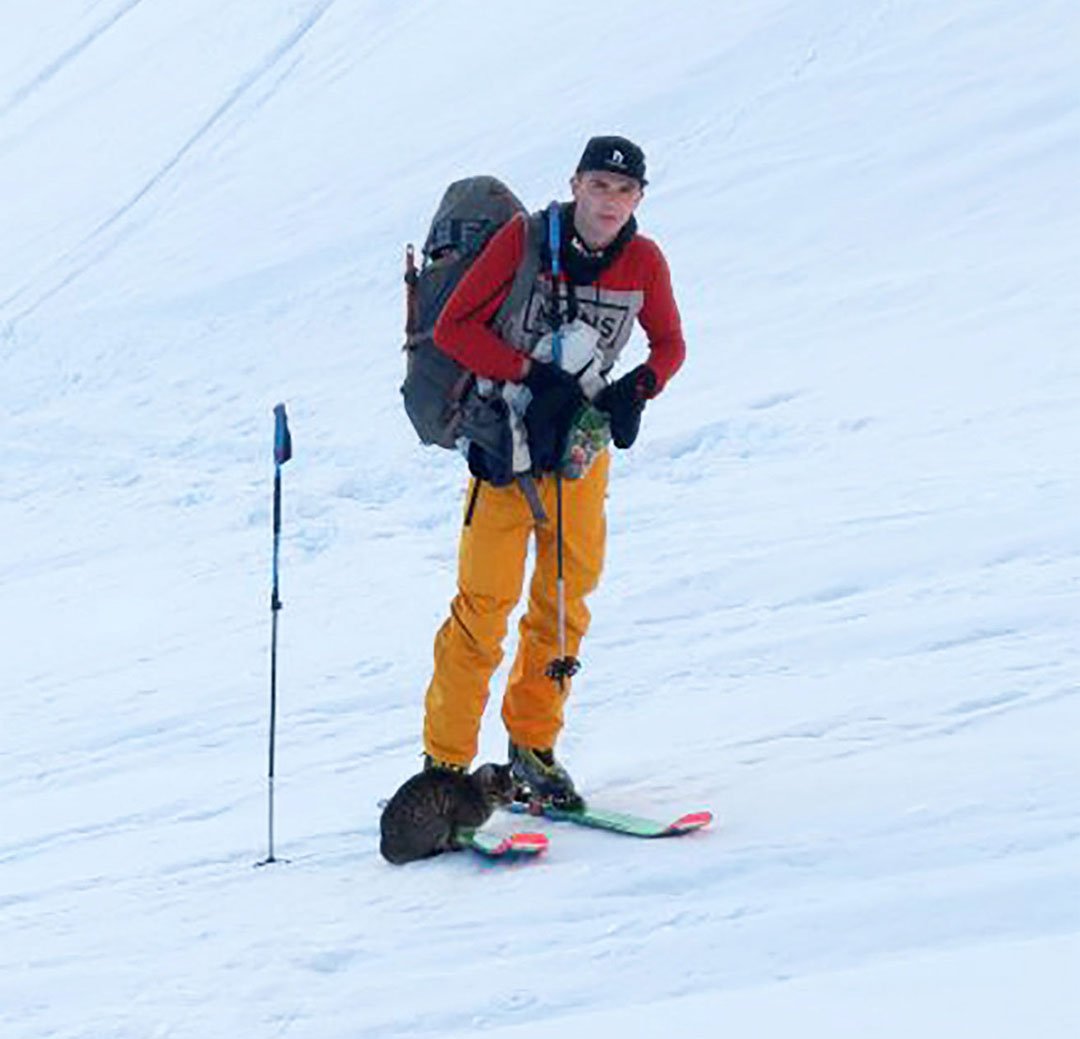 Gato perdido sigue a excursionistas hasta la cima de una montaña en Suiza 12 Felino con escalador