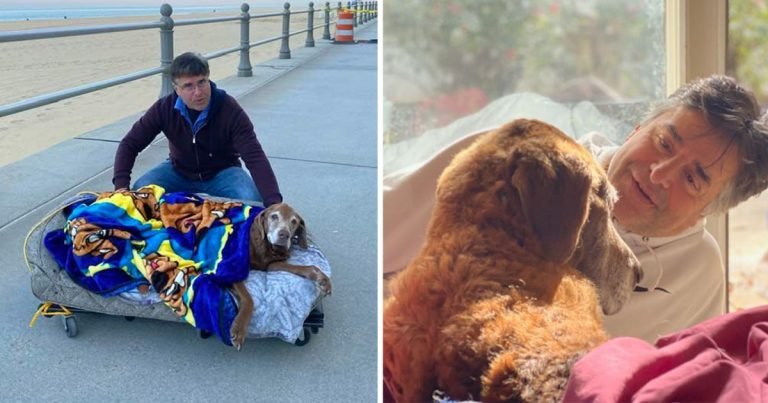 Hombre construye una cama para movilizar a su perrita de 16 años para que disfrute sus últimas vacaciones