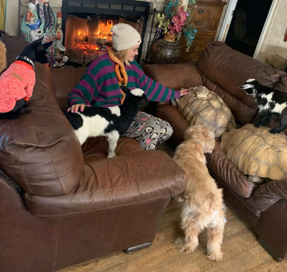 Mujer lleva animales del santuario a su casa para sobrevivir a la tormenta invernal 7 Mujer cuida de animales del santuario
