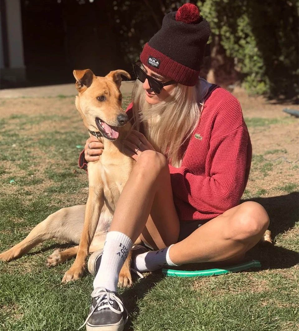 Emotivo reencuentro de una mujer con su perro que estuvo perdido por 3 meses 11 Sol y Congo