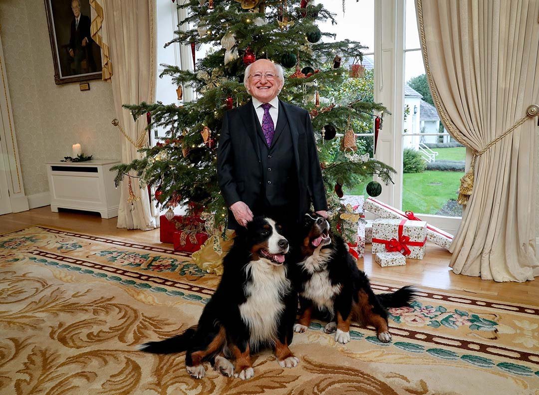 El perro del presidente de Irlanda pide atención durante una entrevista 14 Michael y sus perros