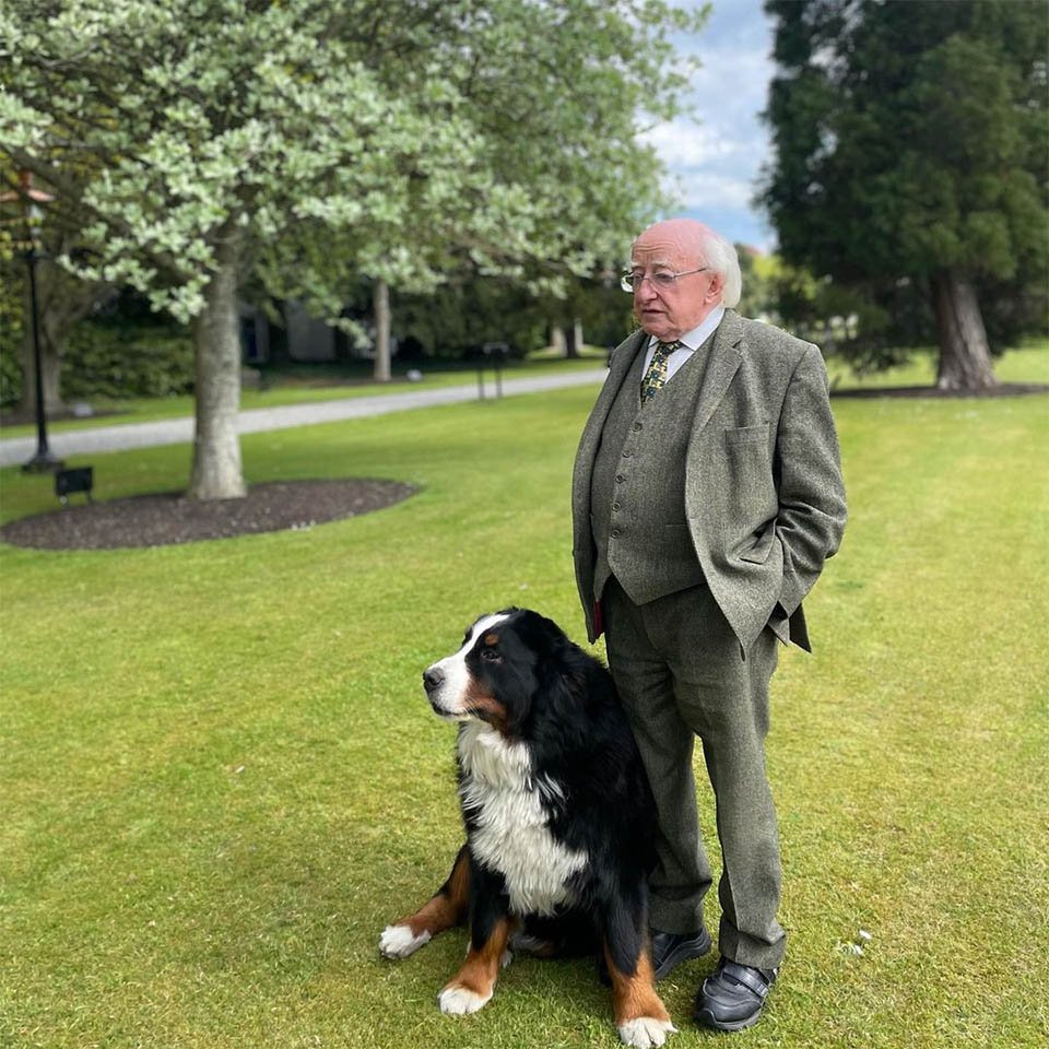 El perro del presidente de Irlanda pide atención durante una entrevista 9 Perro del presidente saludando