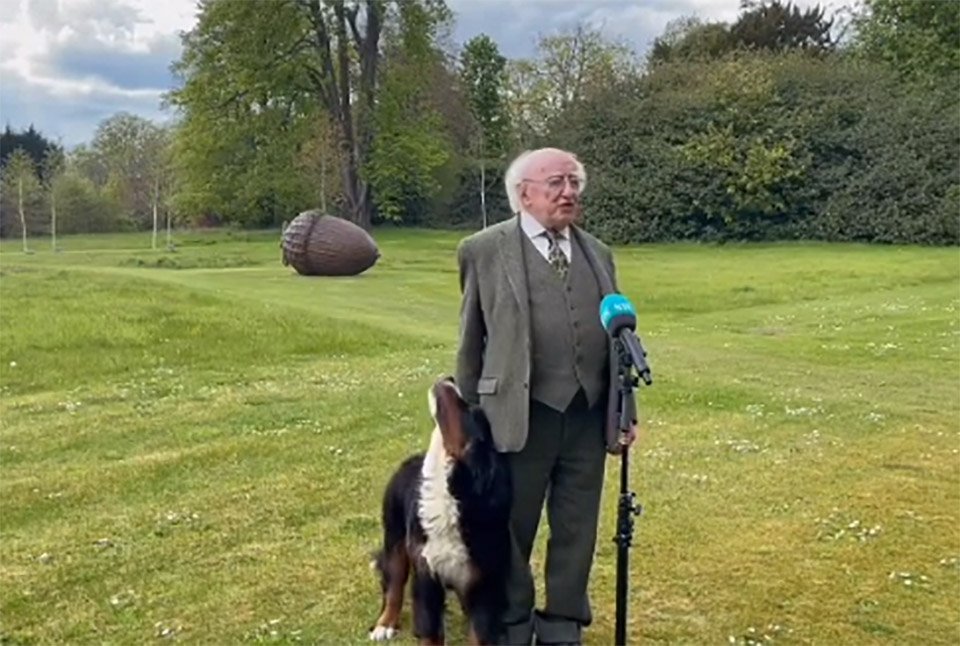 El perro del presidente de Irlanda pide atención durante una entrevista 10 Perro del presidente