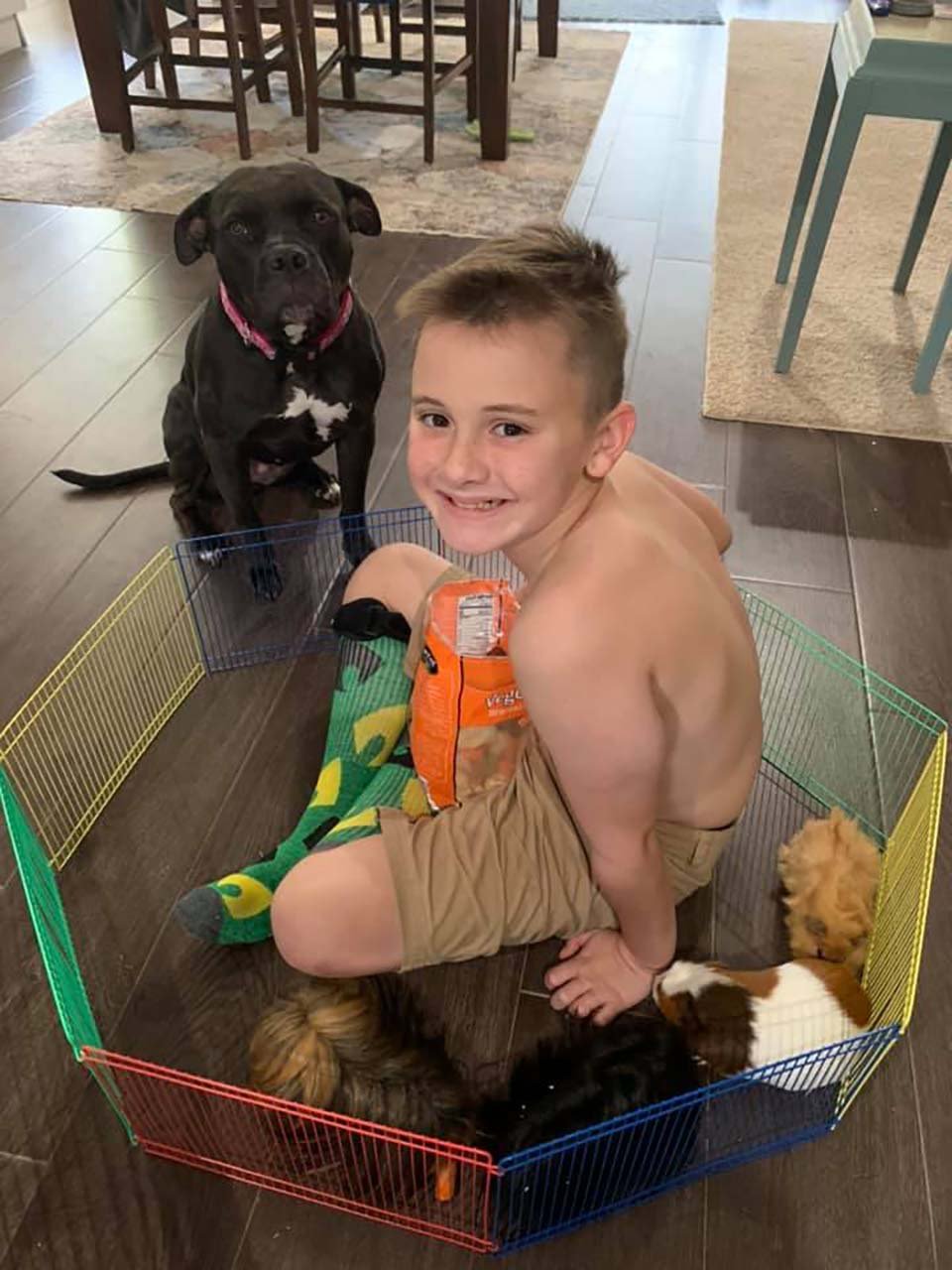 Perrita se niega a comer el cono de nieve después de que mamá ordena el sabor incorrecto 1 Niño juega con su perrito
