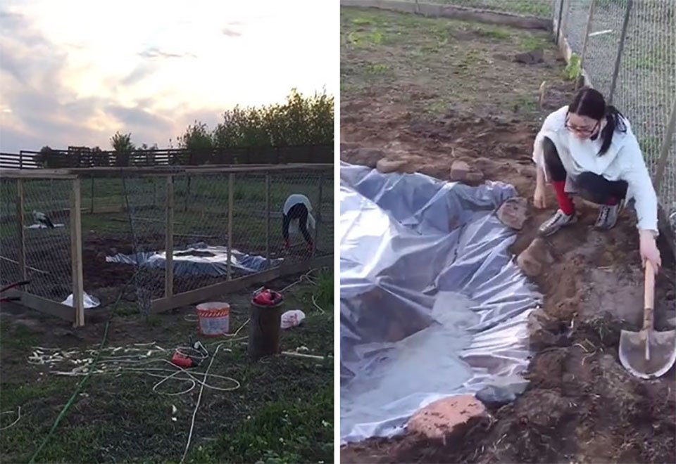 Cigüeña que no volverá a volar disfruta de la vida gracias a esta mujer 12 Recinto de Cigüeña
