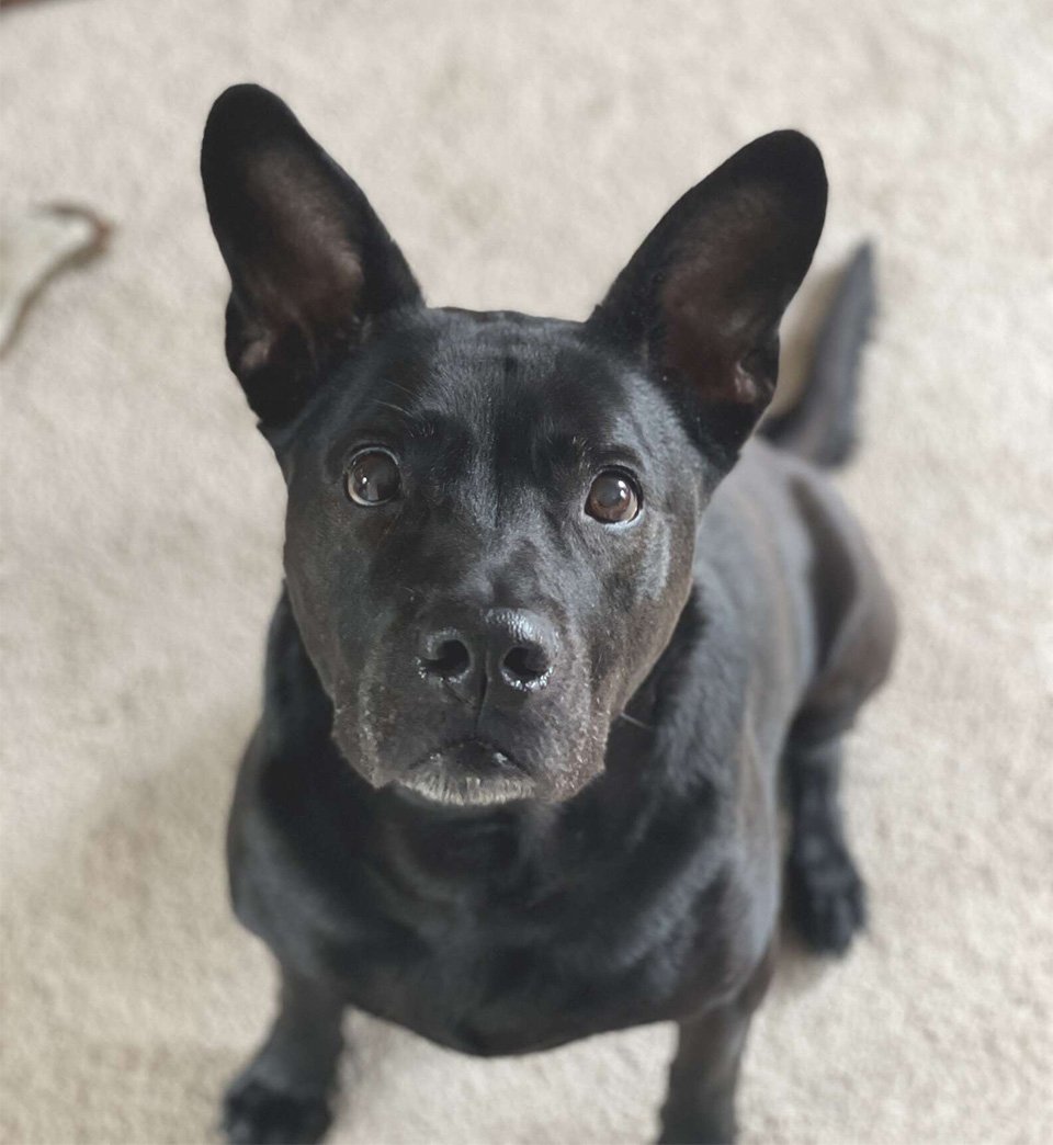 Adorable Myles