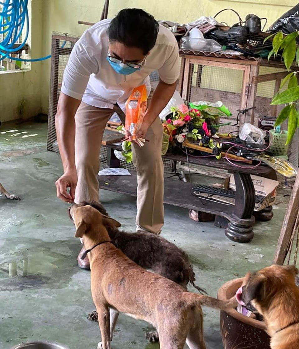 Perrita salva a una familia de cinco al despertarlos durante un incendio en su casa 3 Anandaveli jugando