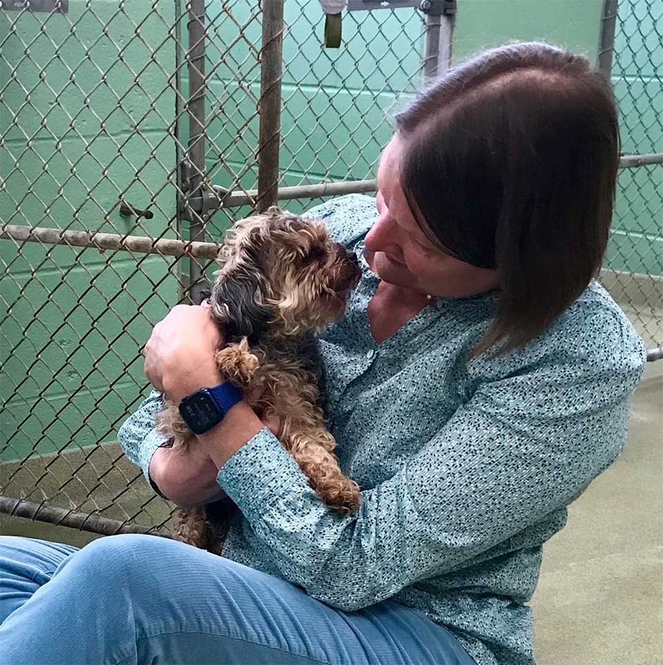 Perro fue encontrado a más de 1,000 millas de distancia 7 años después de su desaparición 7 Lindo reencuentro