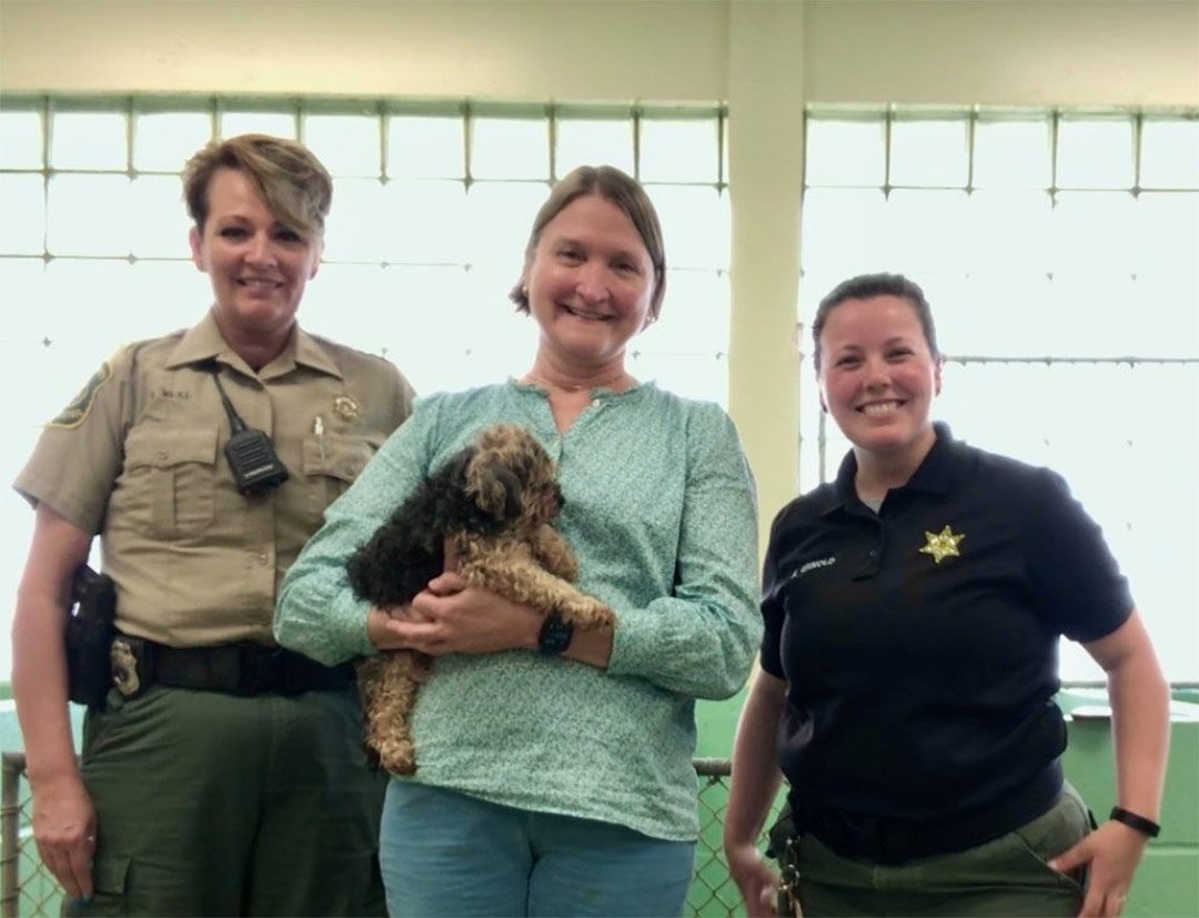 Perro fue encontrado a más de 1,000 millas de distancia 7 años después de su desaparición 12 Miembros del control de animales