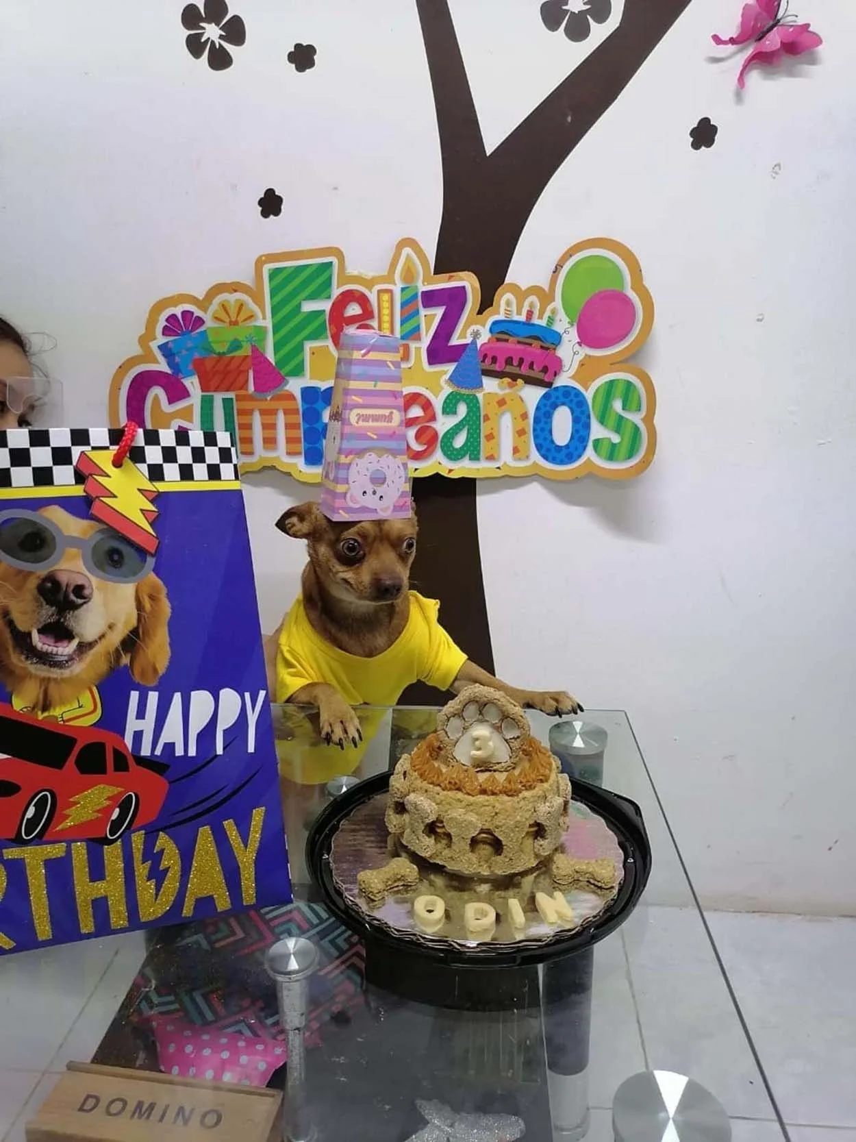 Perrito y su pastel