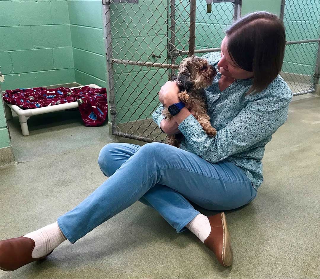 Perro fue encontrado a más de 1,000 millas de distancia 7 años después de su desaparición 11 Perro fue encontrado