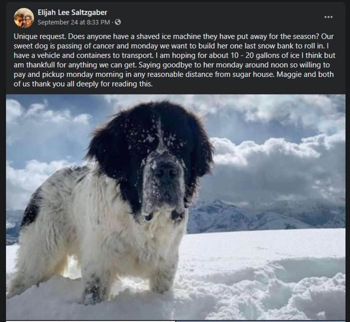 Familia hace una montaña de nieve en su jardín para su perro