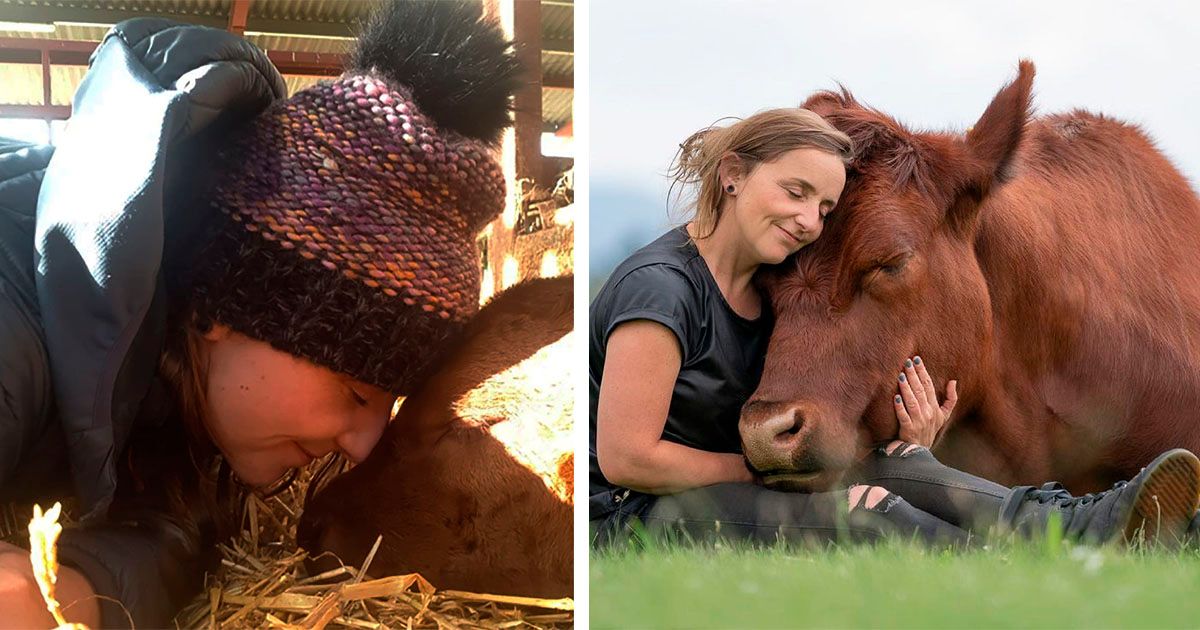 Mujer ahora es la mejor amiga de un toro de casi 750 kg después de rescatarlo siendo un becerro