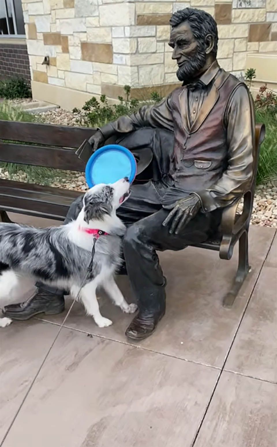 Perro no entiende por qué Abraham Lincoln no le lanza el frisbee