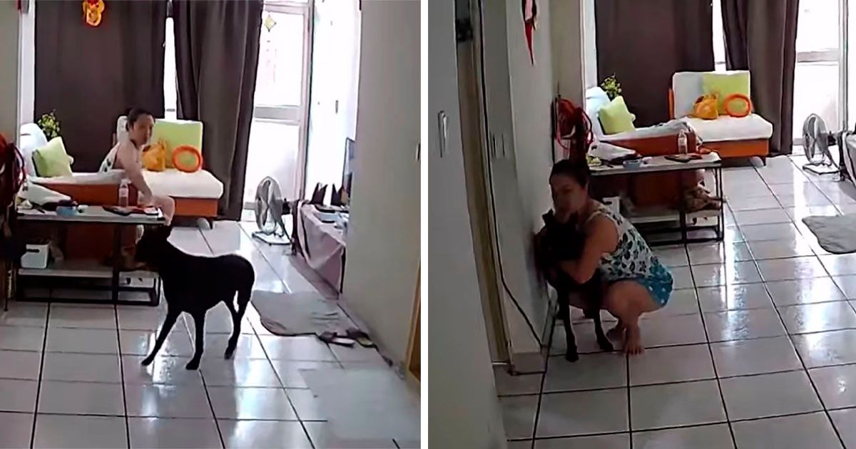 Cámara capta el dulce gesto de una mujer hacia su perro cuando ocurre un terremoto