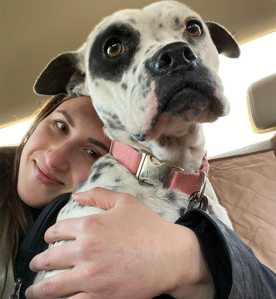 Pitbull rescatada intenta reunir el valor necesario para entrar en su primera casa real 10 Valentine y Ashley