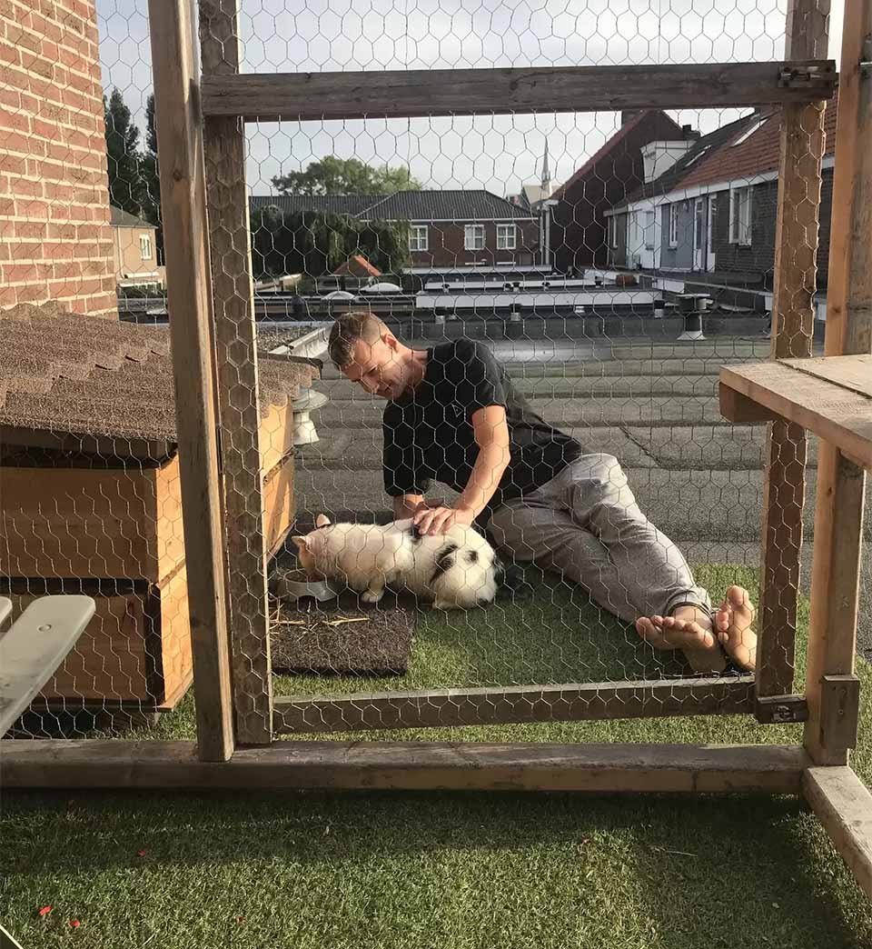 Familia está tan ansiosa por salvar a un gato callejero, que le construyen su propia casa 9 Familia está ansiosa ayudar