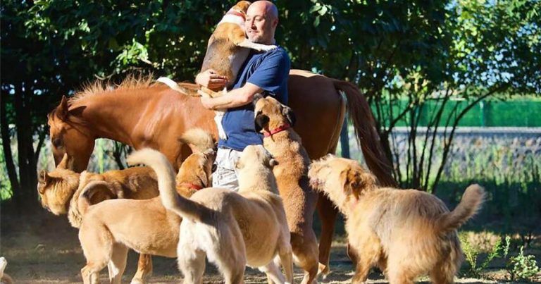 Hombre de Turquía convierte su granja en un santuario de animales