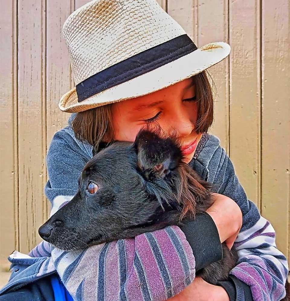 Niño de 11 años ayuda a que los perros sin hogar sean adoptados bañándolos 10 Thiago ayuda perritos