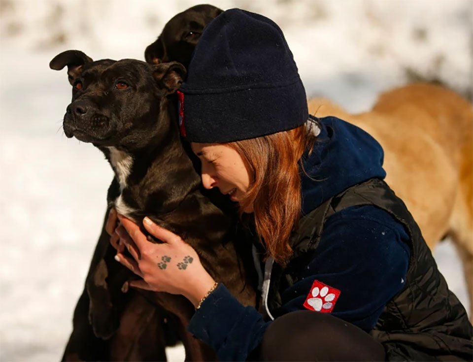 Pareja de héroes acoge a más de 60 perros del frío en Estambul después de una gran nevada 8 Mujer cuida perros