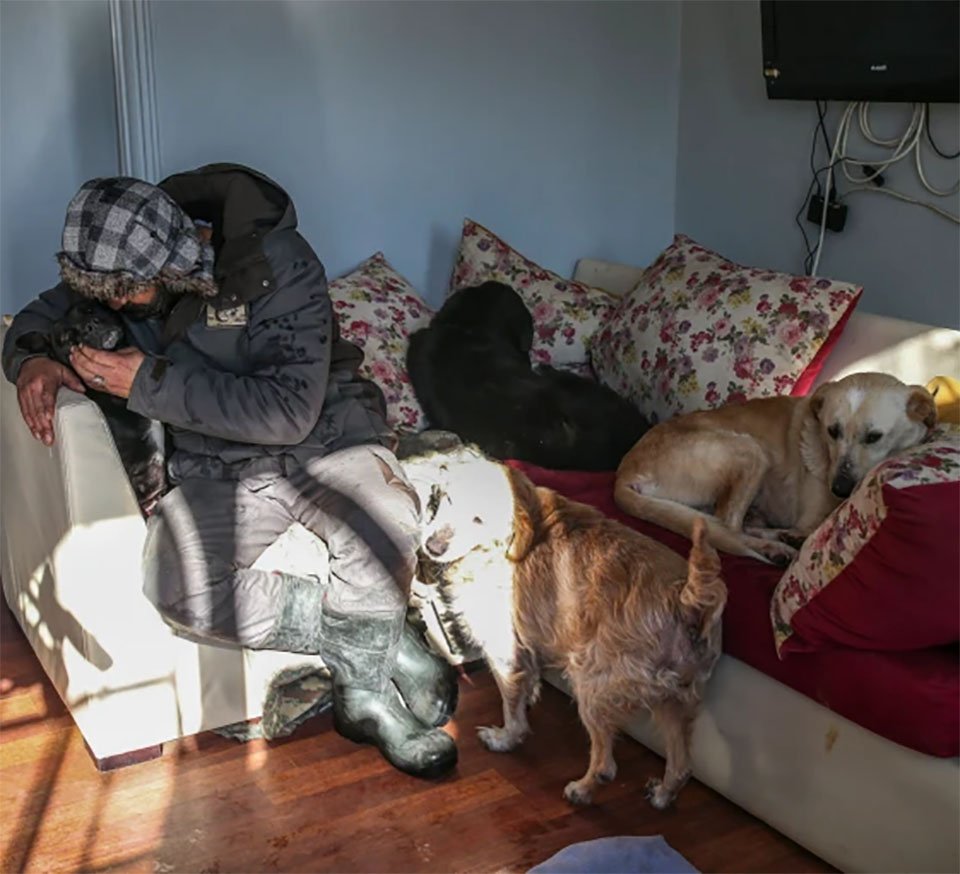 Pareja de héroes acoge a más de 60 perros del frío en Estambul después de una gran nevada 7 Tugay y perritos