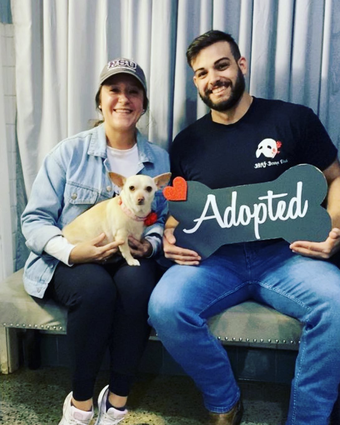 Chihuahua gordita que apenas podía caminar está tan contenta de perder la mitad de su peso 12 Rosemary adoptada