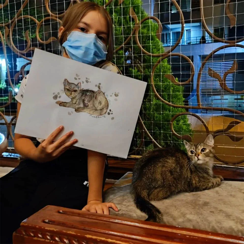 Este café en Colombia te permite conocer gatos abandonados y reubicarlos o adoptarlos 11 Cliente y gatito