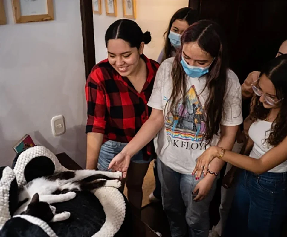 Este café en Colombia te permite conocer gatos abandonados y reubicarlos o adoptarlos 13 Clientes acariciando gato