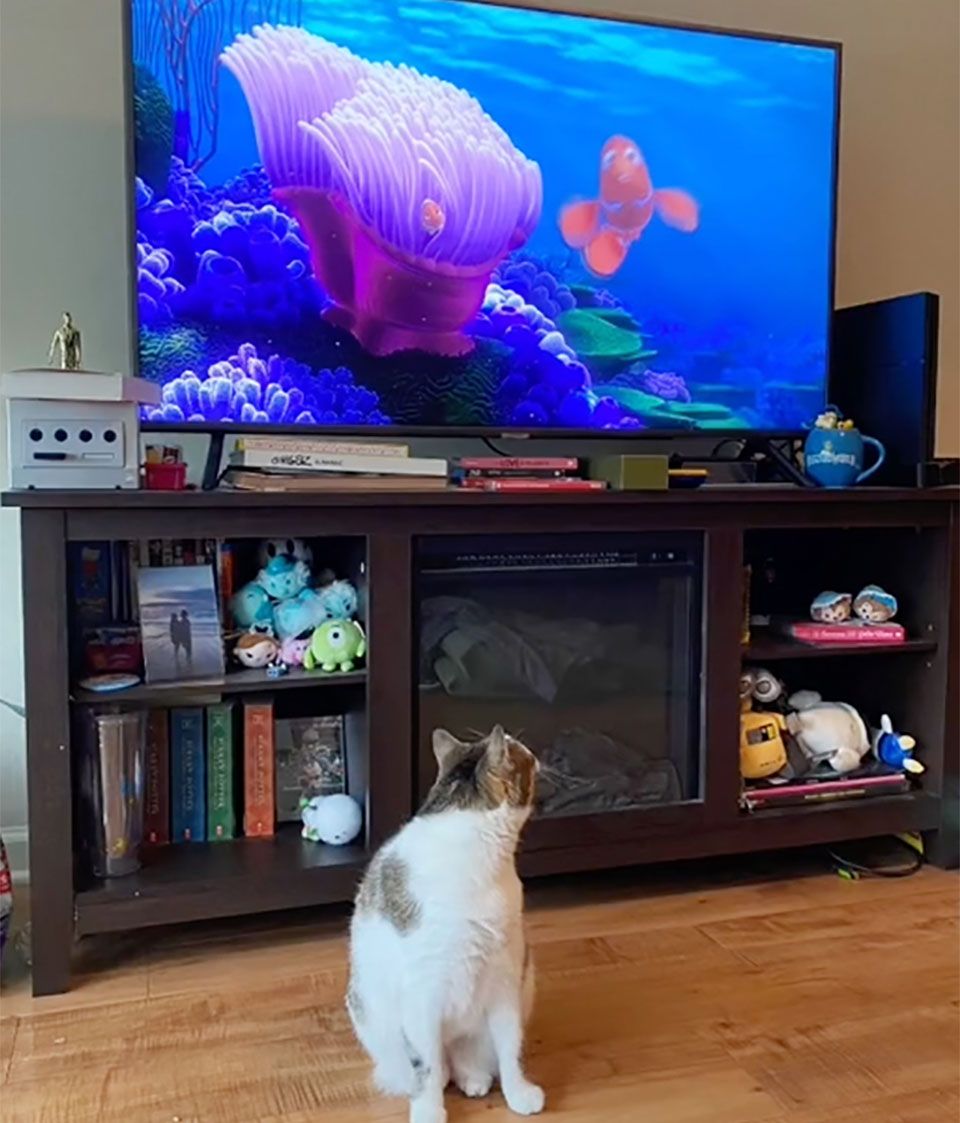 Ella mirando tv