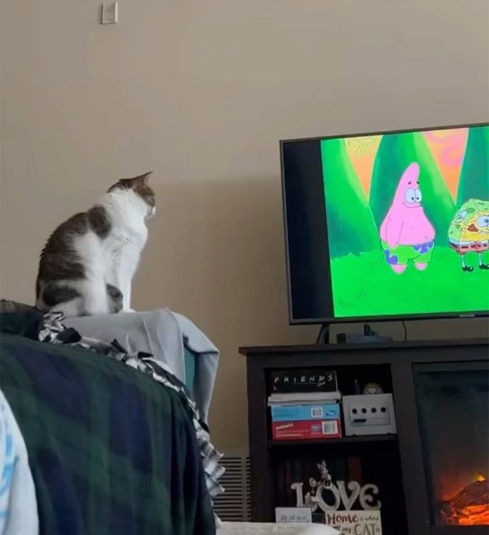 Ella viendo tv