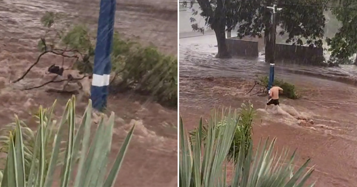 Familia rescata a un perro callejero que quedó varado tras fuertes lluvias, y decide adoptarlo 1 Familia rescata a un perro callejero